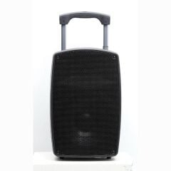 Gold Audio PA 2312 EE Taşınabilir Amfi - El+El