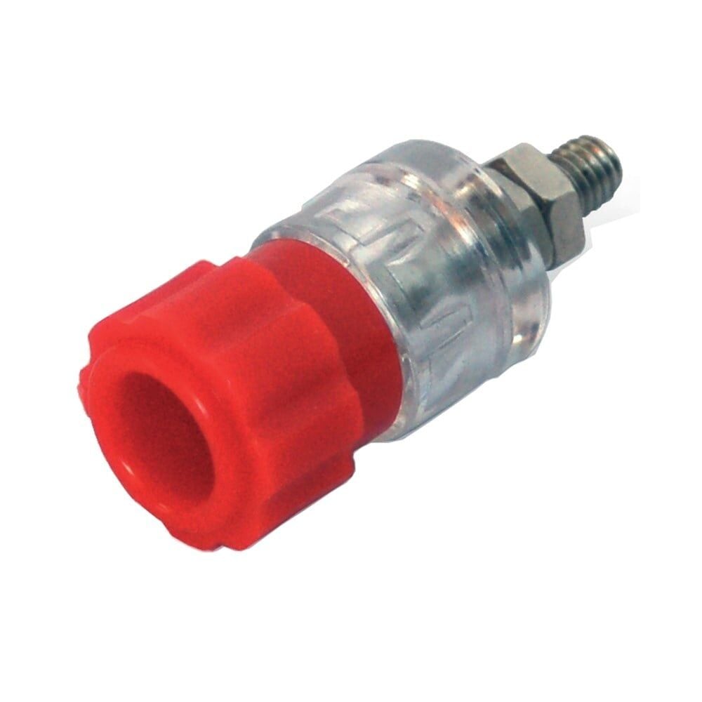 IC-240B Born Klemens Büyük Boy