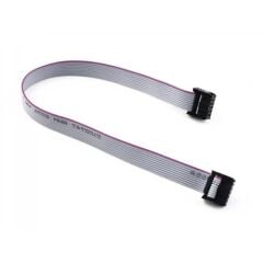 20cm 10 Pin IDC Flat Kablo