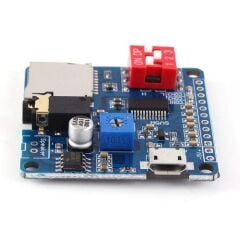 DY-SV5W MP3 Modül