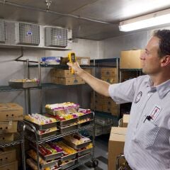 Fluke 62 MAX+ Kızılötesi Termometre