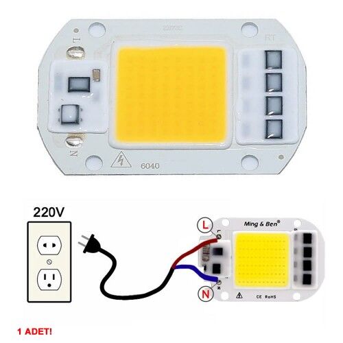 220V 50W Power Led Warm White