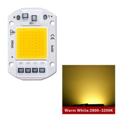 220V 50W Power Led Warm White