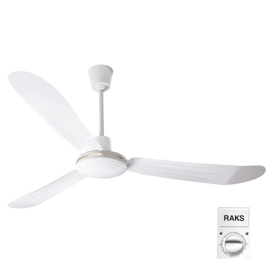 Raks PF56KOSTA 100W 140cm Duvardan Kontrol Tavan Vantilatörü PF56-KOSTA