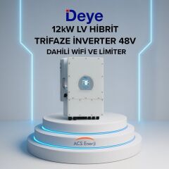 12Kw Hibrit Trifaze İnverter Lv