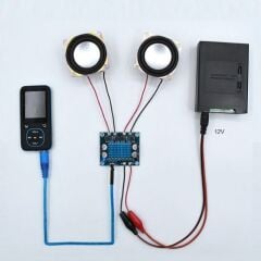 TPA3110 Modül