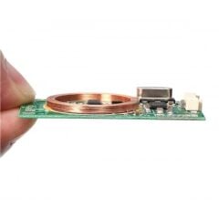 Dual RFID Okuyucu Weigand 7941d