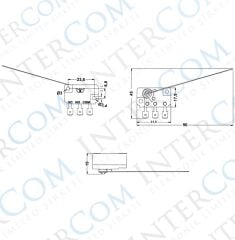 IC-176 Micro Switch Telli